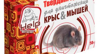 עזרה בסמים של צופי הבוגרים