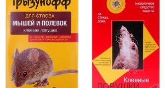 התרופה גריזונוף