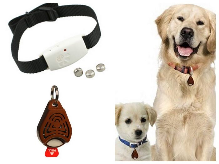 קולר דוחה פרעושים