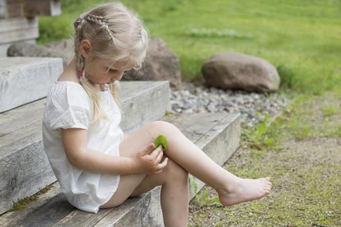 ילד עם עלה פלנטיין