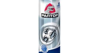 קוטל חרקים ראפטור