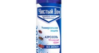 בית נקי עם קוטלי חרקים