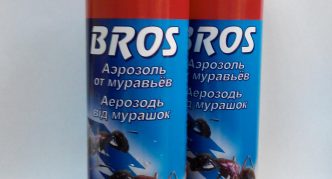 אחים קוטלי חרקים