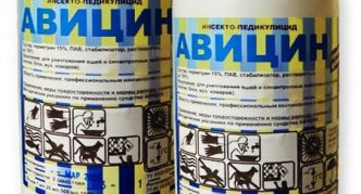 תרכיז אביצין