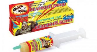 ג'ל הלוחם הגדול