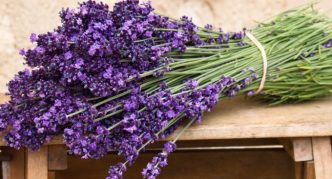 אֲזוֹבִיוֹן