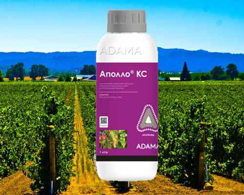 תרופת אפולו