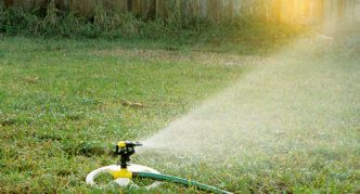 השקיה נכונה של האזור