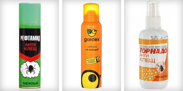 דוחי קרציות