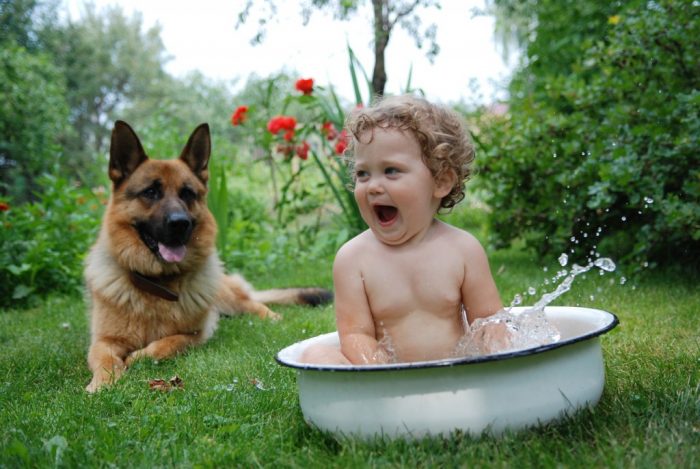 חופשות עם ילדים ובעלי חיים