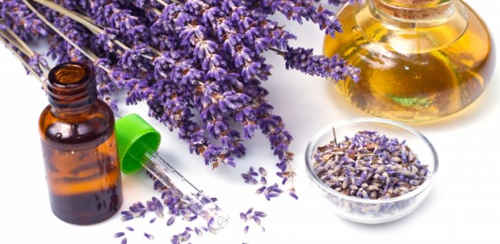 שמן אתרי לבנדר