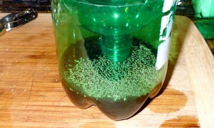 מלכודת בקבוקים