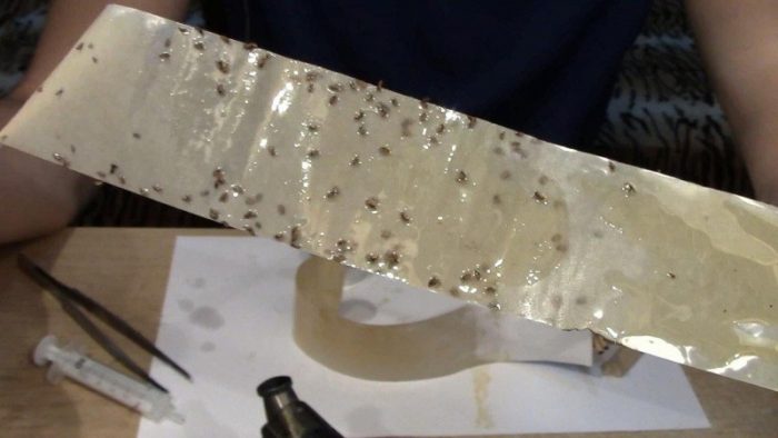 סרט דביק תוצרת בית