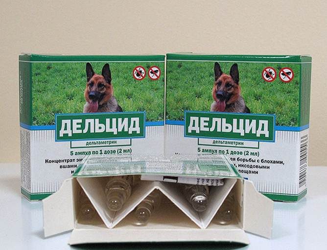 דלקיד נגד פרעושים