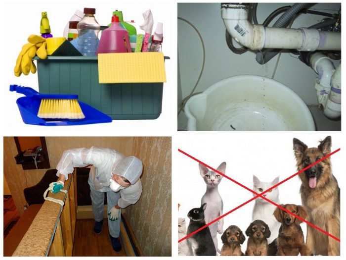 הכנה לחיטוי