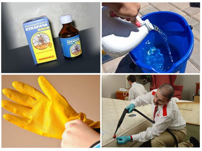 פתרון ויישום של קוקארך