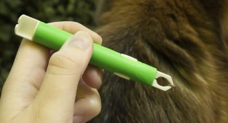 מסיר קרציות