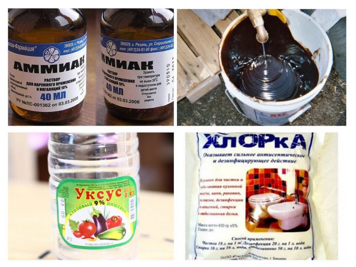 כימיקלים ביתיים נגד מכרסמים