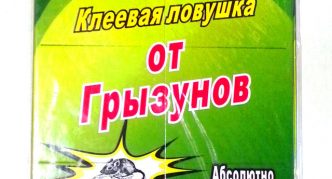 לתפוס מומחה