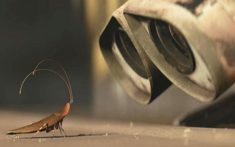 סקירה של דוחי ג'וקים מסוג Raptor