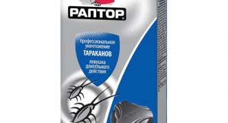 ראפטור נגד ג'וקים