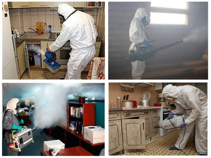 חיטוי של מקום מפני פשפשים