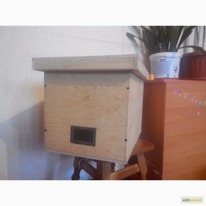 מלכודת דבורים