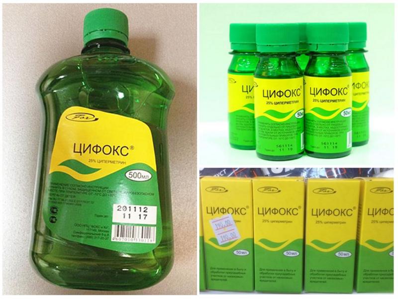 דוחה קרציות סיפוקס: כיצד להשתמש בו נכון