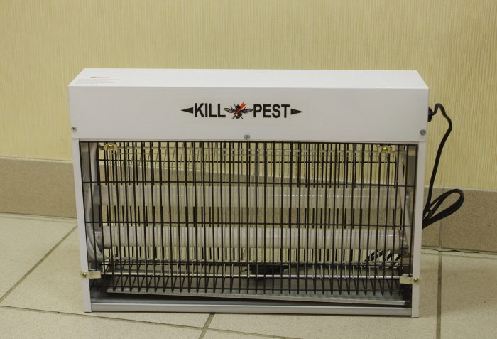 מנורה תעשייתית