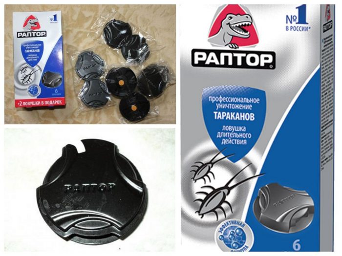 מלכודות ראפטים