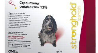 טיפות על השכמות