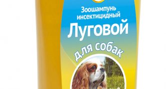 שמפו נגד טפילים