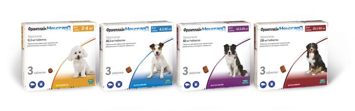 טבליות נקסגארד פרונטליין