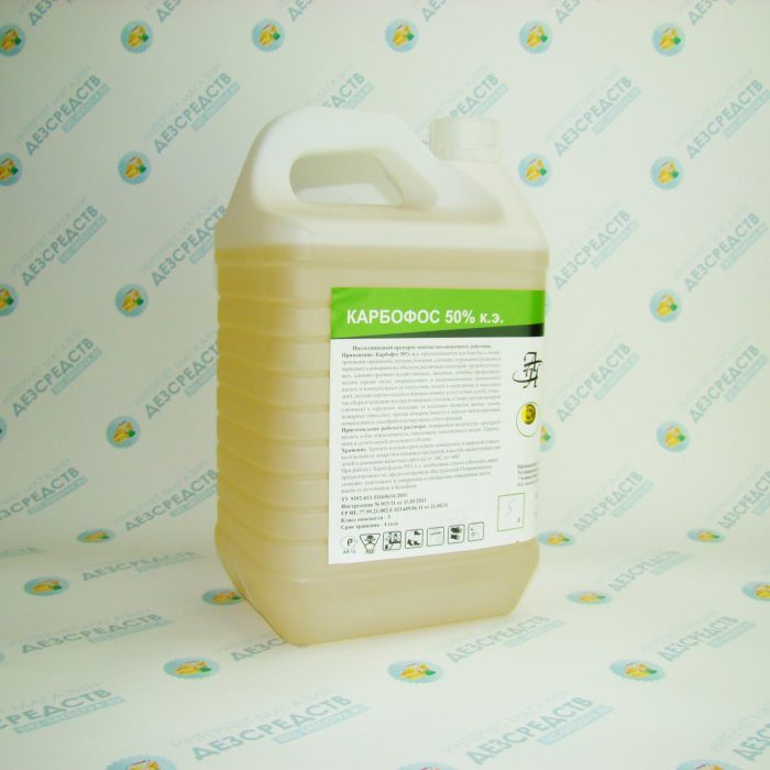 הכנת קרבופוס במיכל