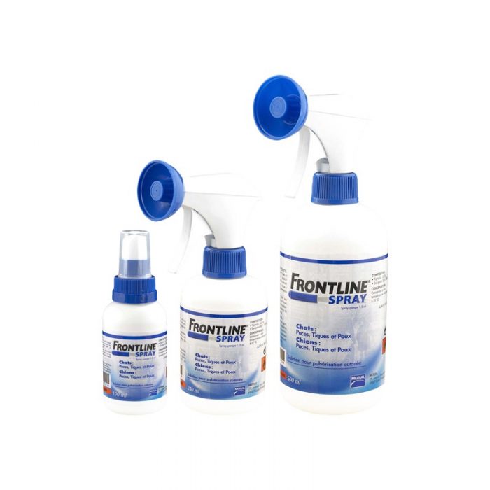 ספריי פרונטליין