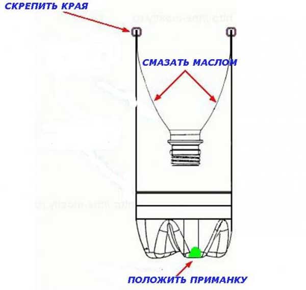 תרשים של הכנת מלכודת עכברים