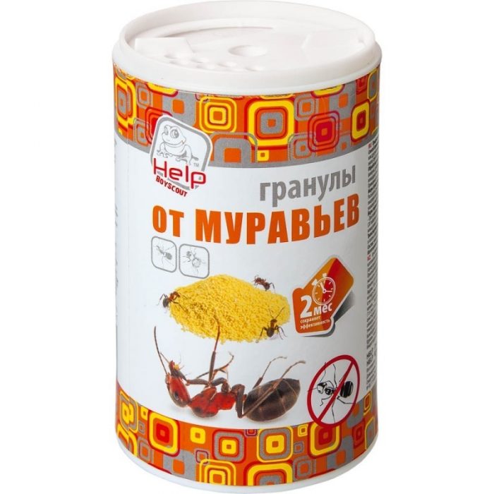 גרגירי נמלים