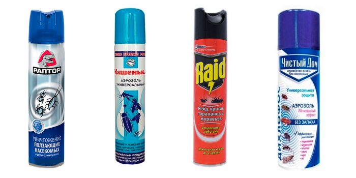 אירוסולים של נמלים