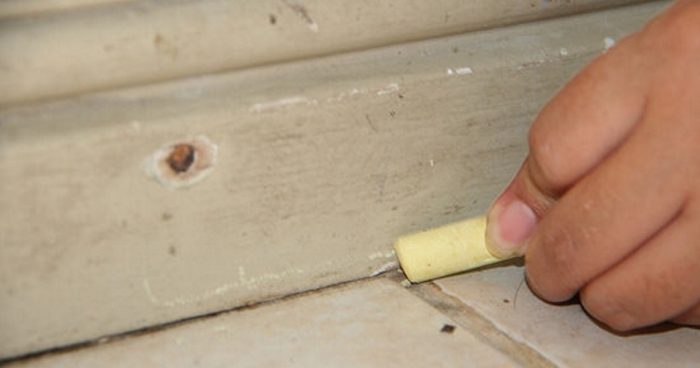 עיפרון (גיר) לנמלים