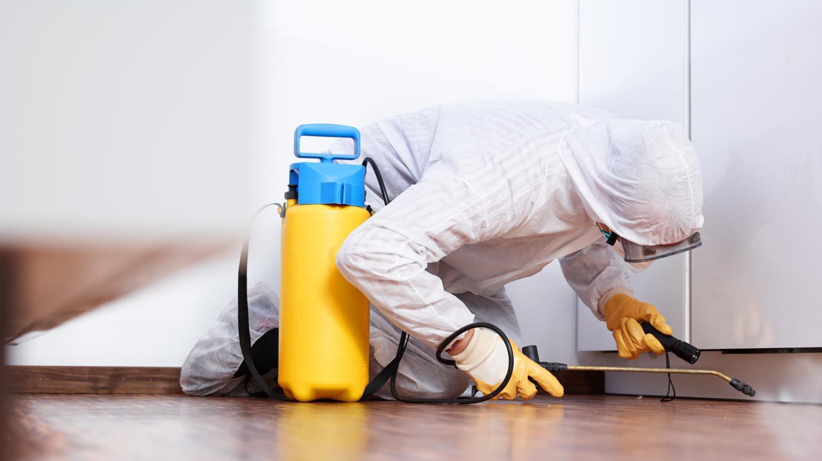 הדברת ג'וקים מקצועית: איך זה עובד