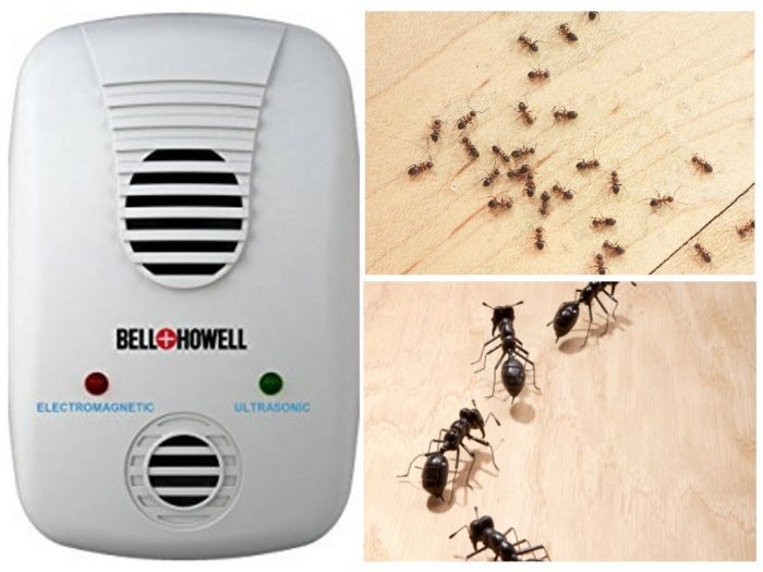 אולטרסאונד לדירות