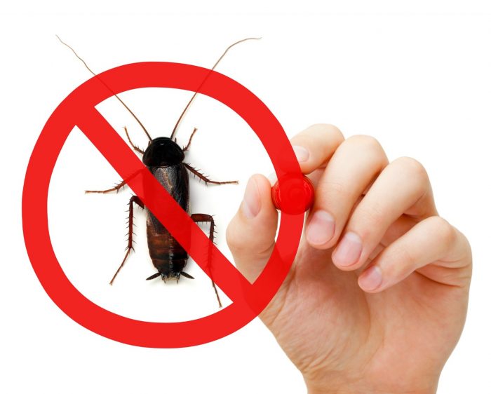 להיפטר מג'וקים