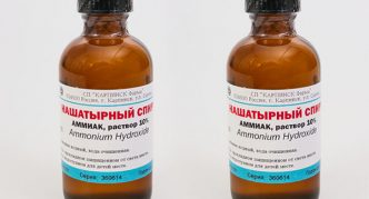 אַמוֹנִיָה