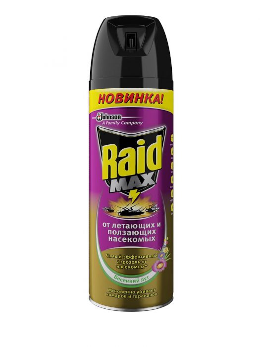 פשיטת אירוסולים