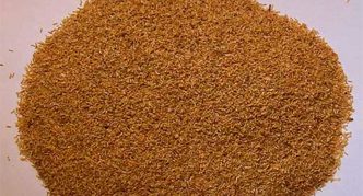 אבקת פירתרין