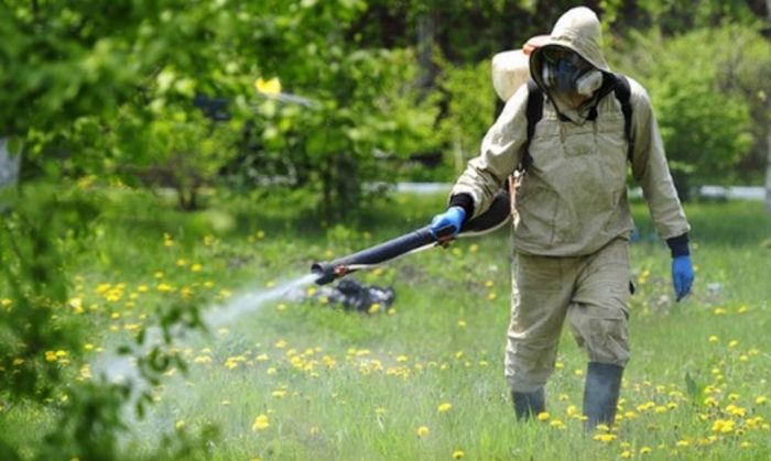 ריסוס קוטל חרקים שהוכן מתרכיז