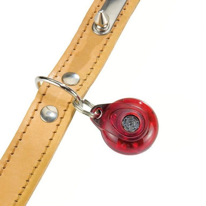 מחזיק מפתחות דוחה קרציות