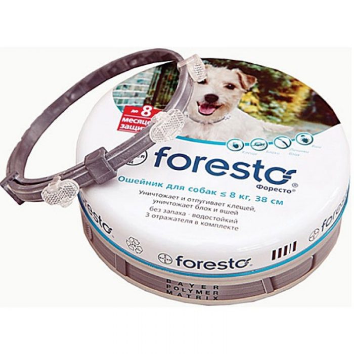 קולר קרציות פורסטו