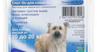 טיפות דוחות קרציות בחזית