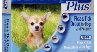 טיפות קרציות של הרץ